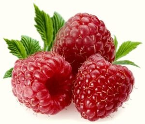 Three Raspberry Fruits
