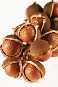 Queensland Nuts