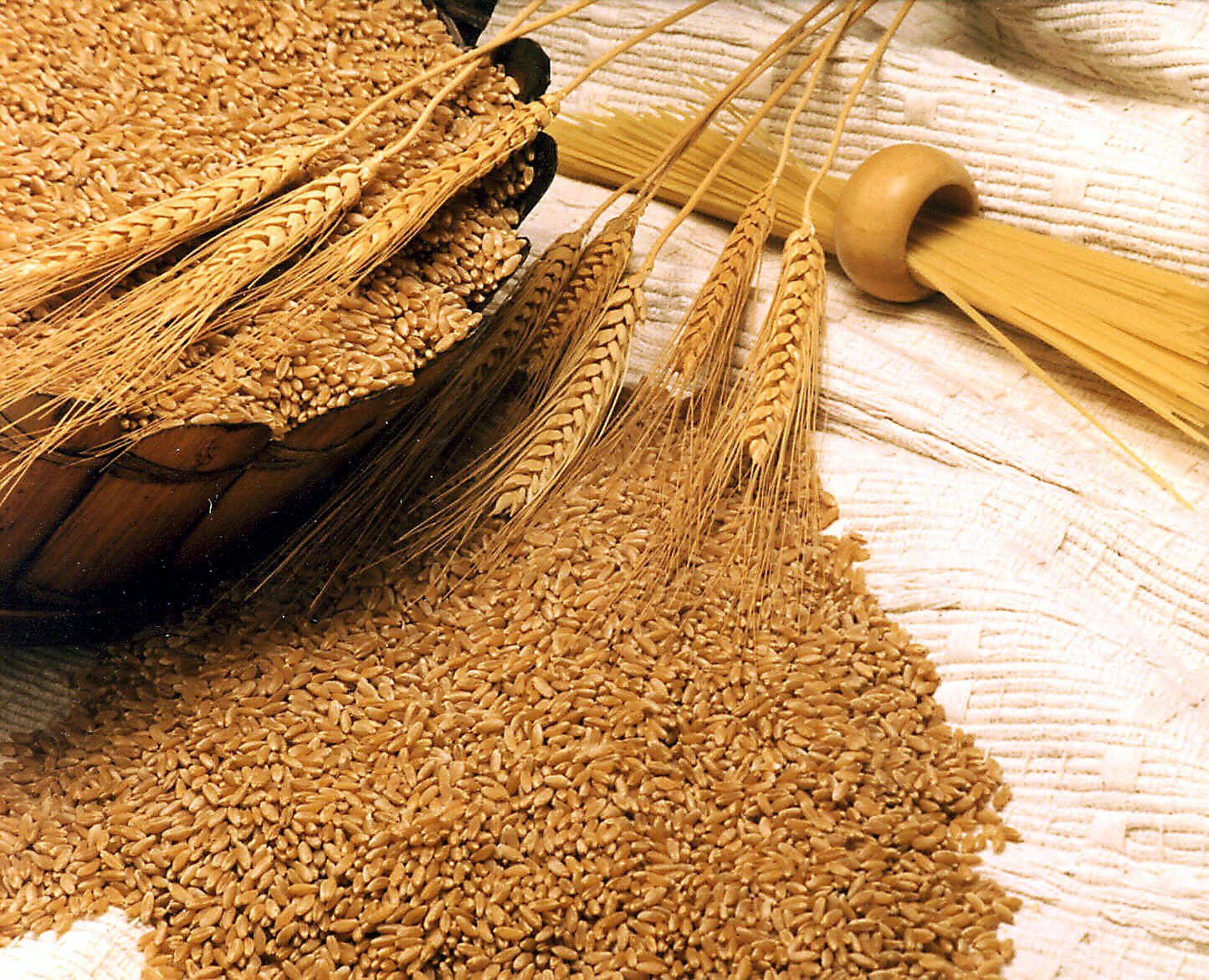 What S The Benefits Of Wheat Germ