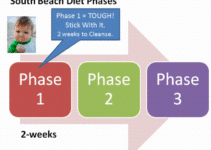 The Number of Daily Calories in the South Beach Diet, Phase #1