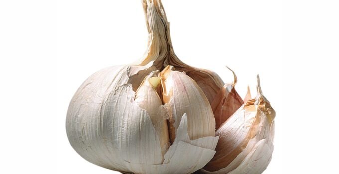 Health Benefits of Using Garlic or Taking Garlic Pills