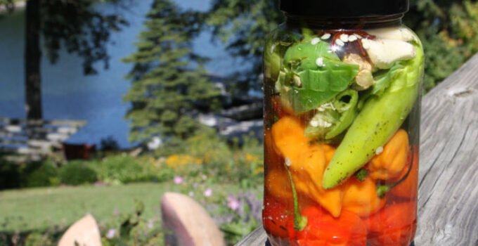 How Your Health can Benefit from Fermented Foods (Pickling Method)