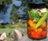 How Your Health can Benefit from Fermented Foods (Pickling Method)