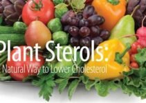 How Plant Sterols Can Help You Lower Your Cholesterol