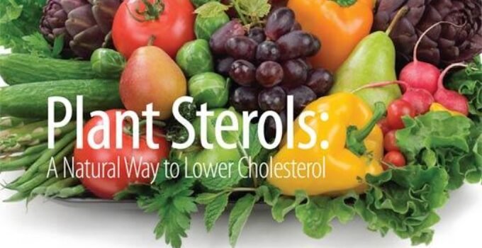 How Plant Sterols Can Help You Lower Your Cholesterol