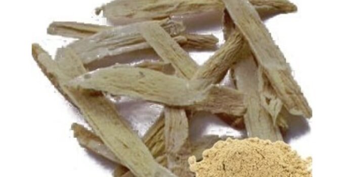 Boost Your Immune System with Astragalus Root Extract