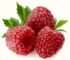 Dr. Oz’s Miracle Fruit Helps You Lose Weight