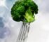 Broccoli Diet: Lose 17 lb in 10 Days