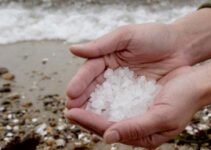 Disorders and Diseases Cured by Salt