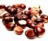 Chestnuts – Food and Medicine